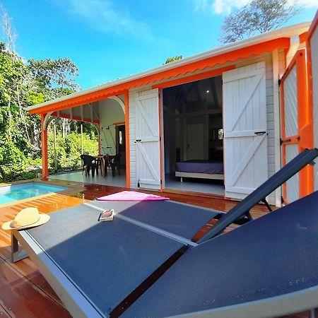 Caraibes Cottages Corail Piscine Privee A 900M De La Plage De Grande Anse ديساي المظهر الخارجي الصورة