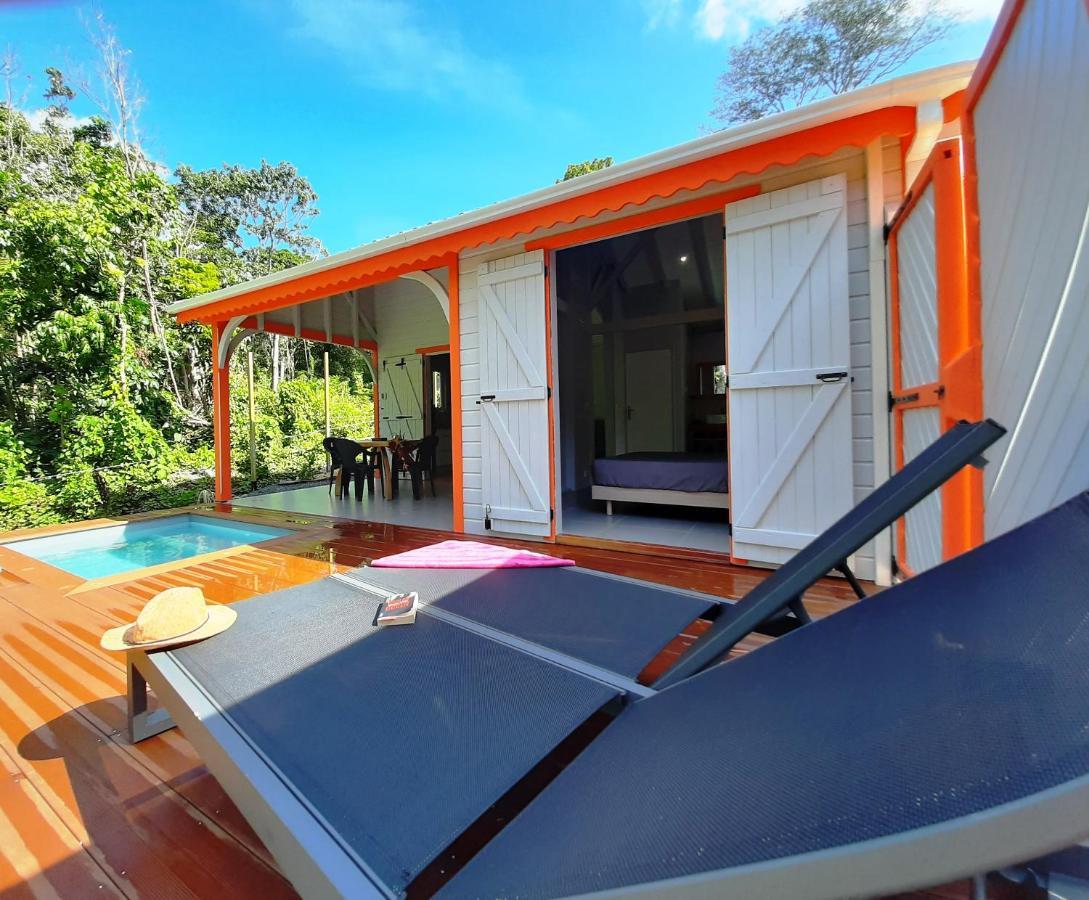 Caraibes Cottages Corail Piscine Privee A 900M De La Plage De Grande Anse ديساي المظهر الخارجي الصورة