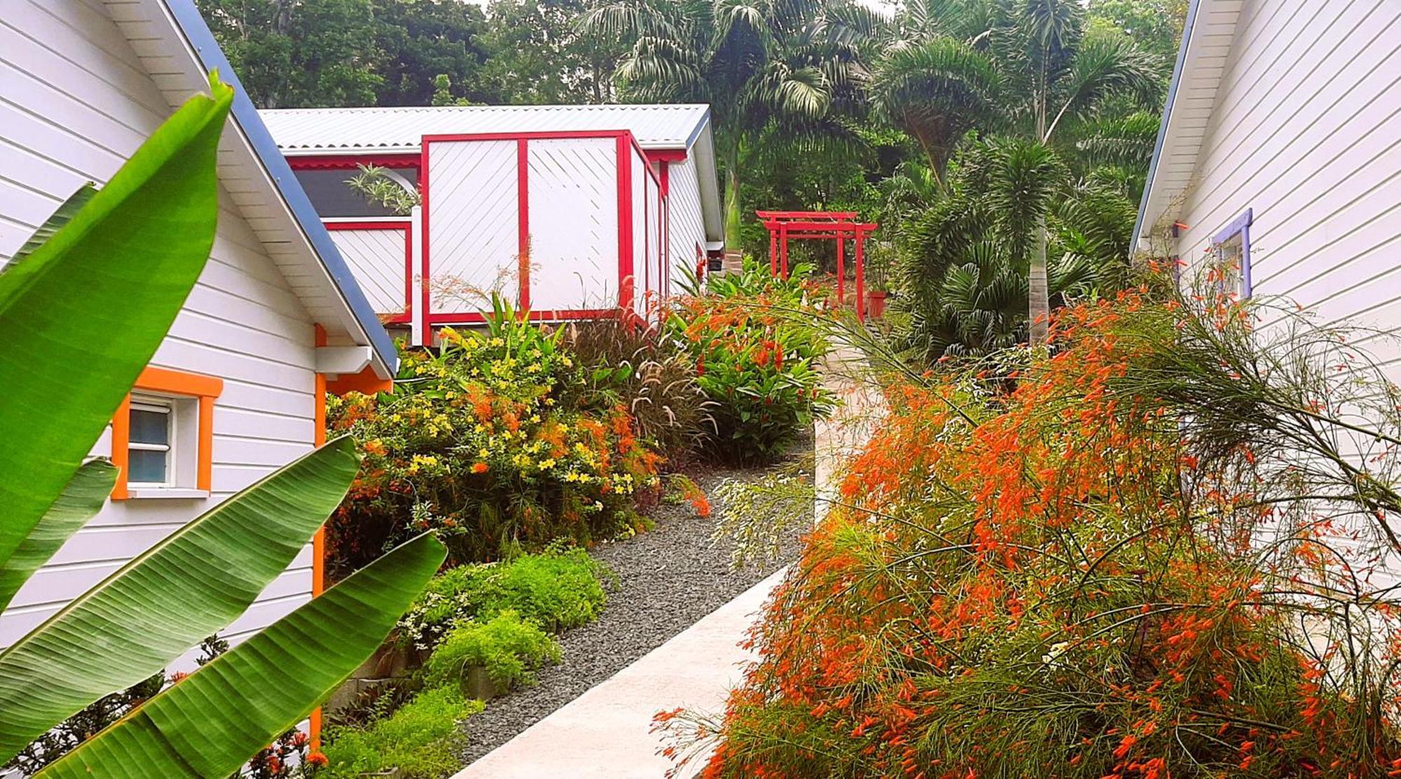 Caraibes Cottages Corail Piscine Privee A 900M De La Plage De Grande Anse ديساي المظهر الخارجي الصورة