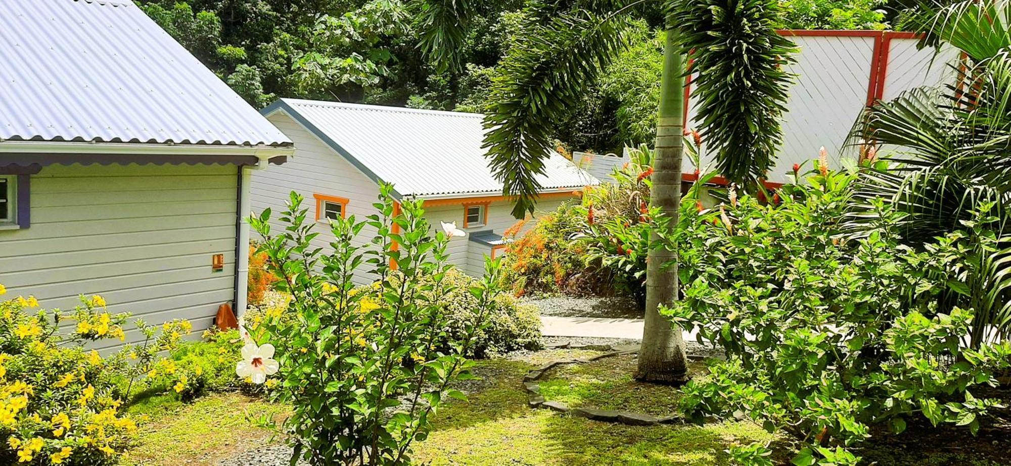 Caraibes Cottages Corail Piscine Privee A 900M De La Plage De Grande Anse ديساي المظهر الخارجي الصورة
